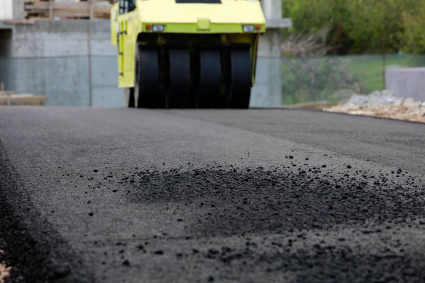 Best Professional Driveway Pavers  in Elgin, SC