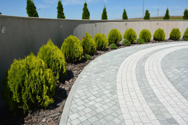 Best Interlocking Driveway Pavers  in Elgin, SC